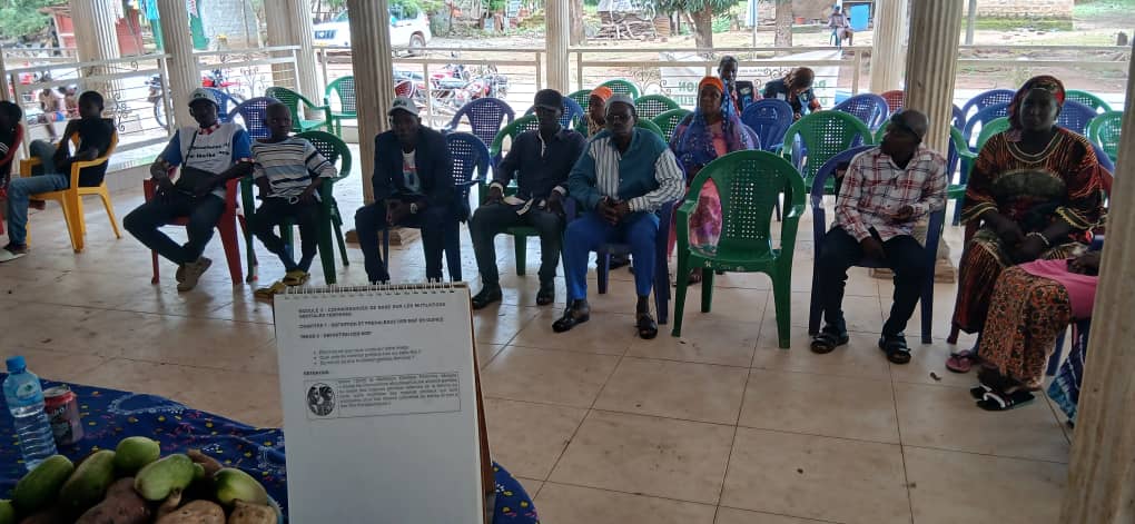Visite_Programmatique_UNICEF_ Rencontre avec CLEF de Tormelin centre et le CVPE  de Kila